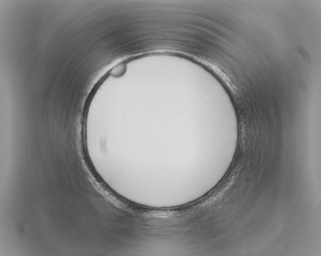 X0000115671134200912101106