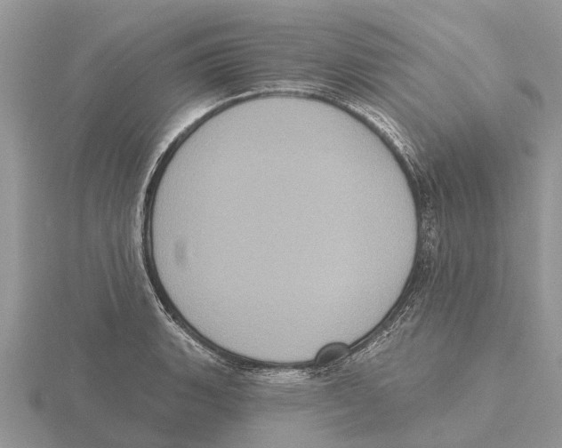 X0000115671135200912101106