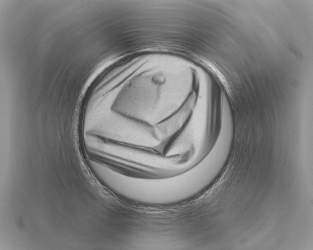 X0000115671138200912101107