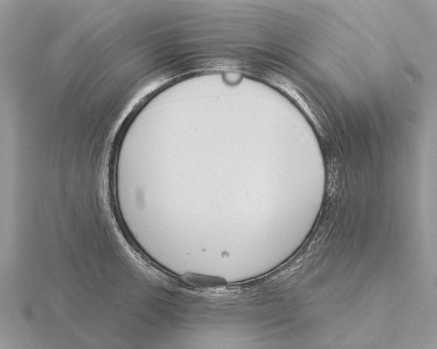 X0000115671139200912101107