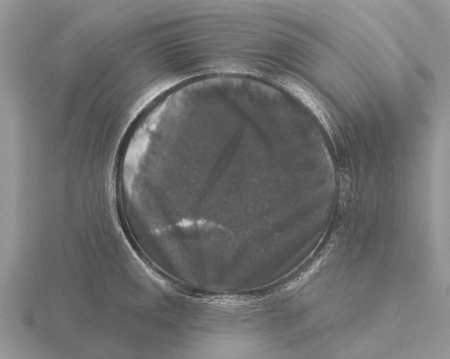 X0000115671141200912101107