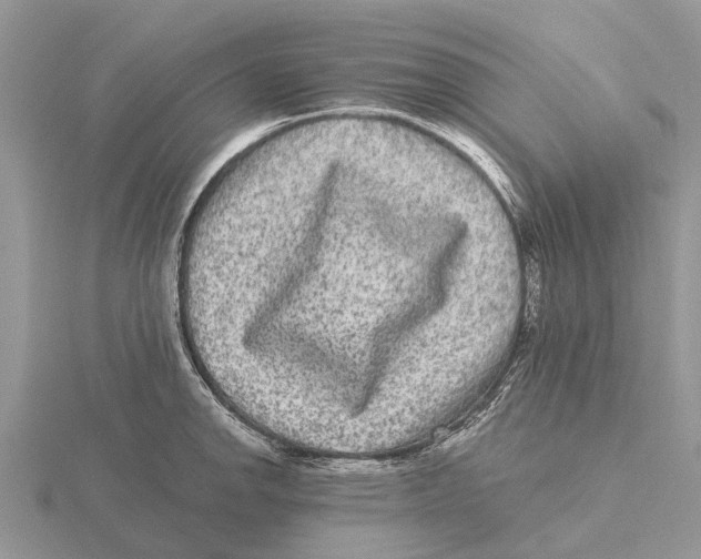 X0000115671142200912101107