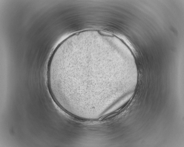 X0000115671143200912101107