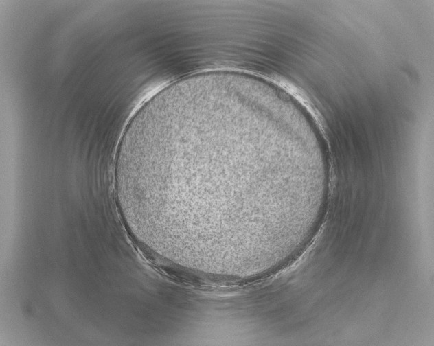 X0000115671145200912101107