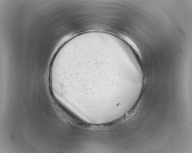 X0000115671146200912101107