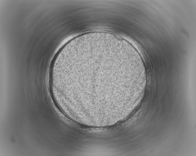 X0000115671147200912101107