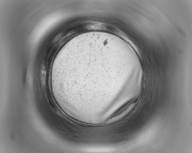 X0000115671151200912101107