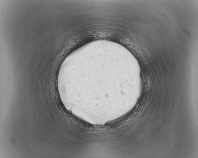 X0000115671153200912101106