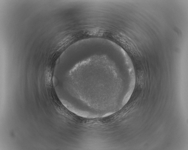 X0000115671154200912101106