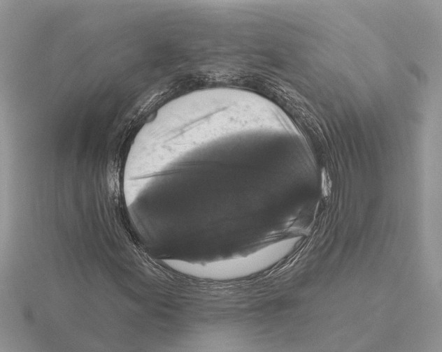 X0000115671155200912101106