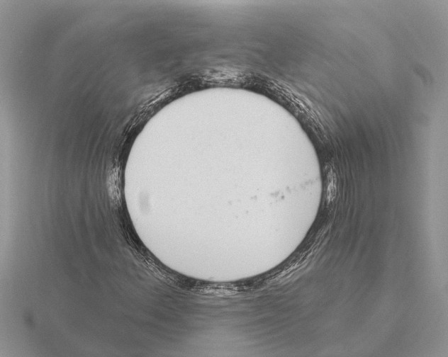 X0000115671156200912101106