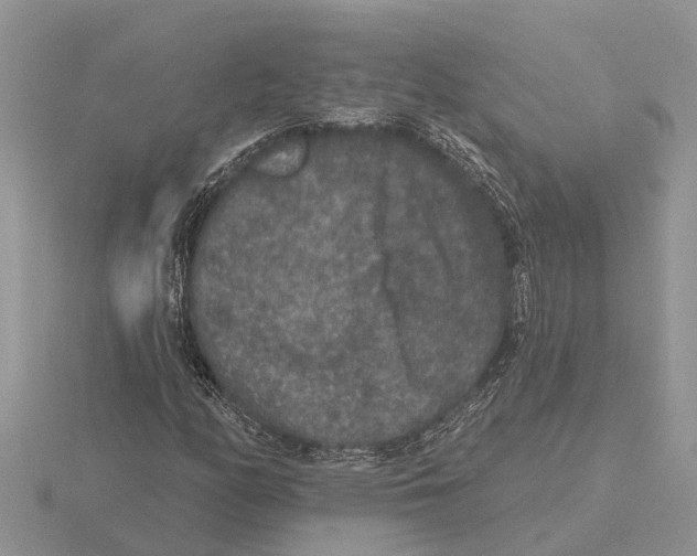 X0000115671158200912101106