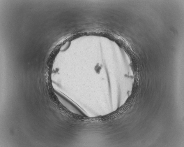 X0000115671159200912101106