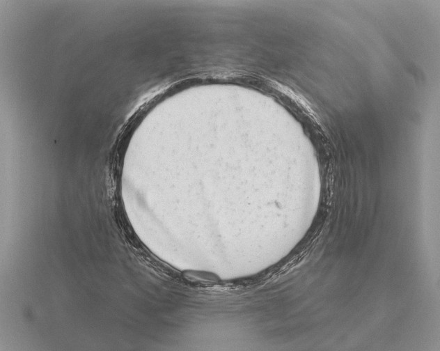 X0000115671160200912101106