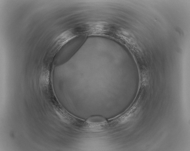 X0000115671161200912101106