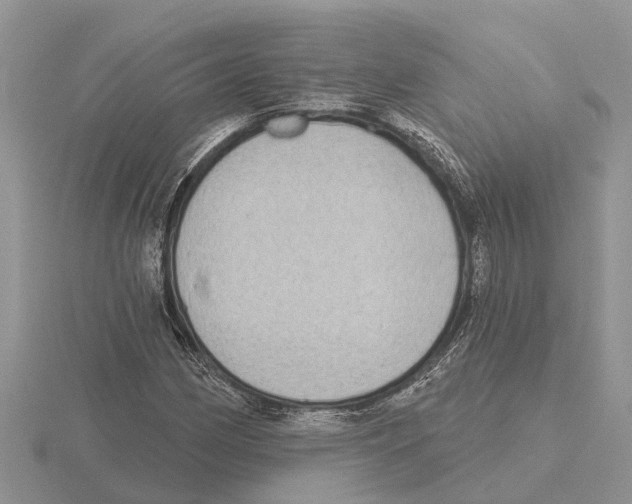 X0000115671162200912101106