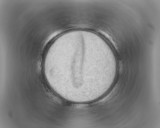 X0000115671163200912101106