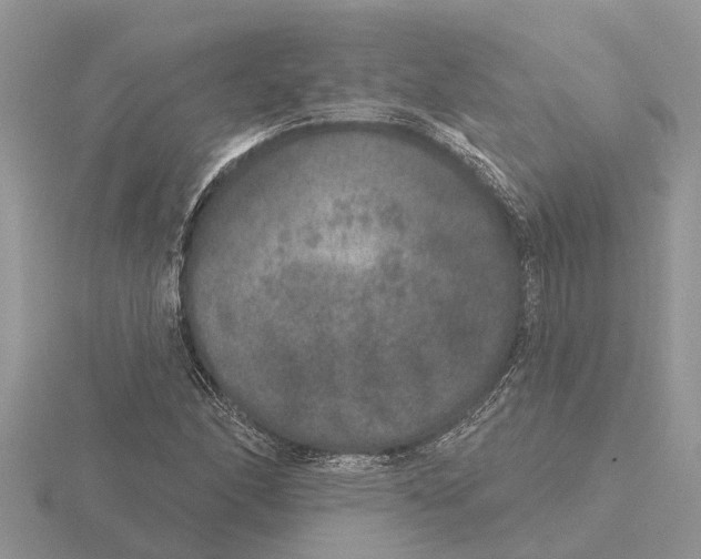 X0000115671166200912101106