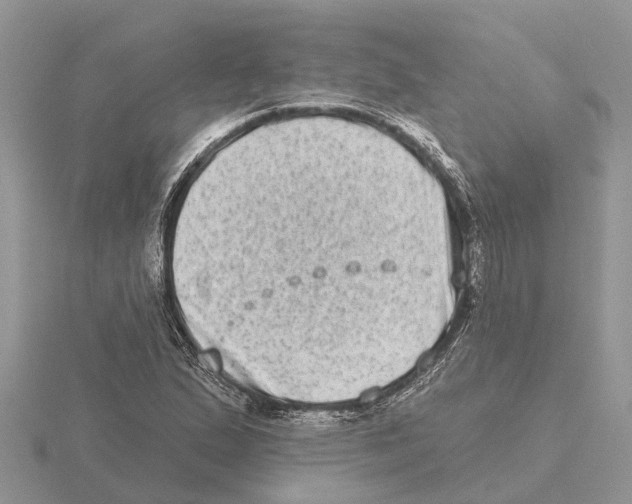 X0000115671167200912101106