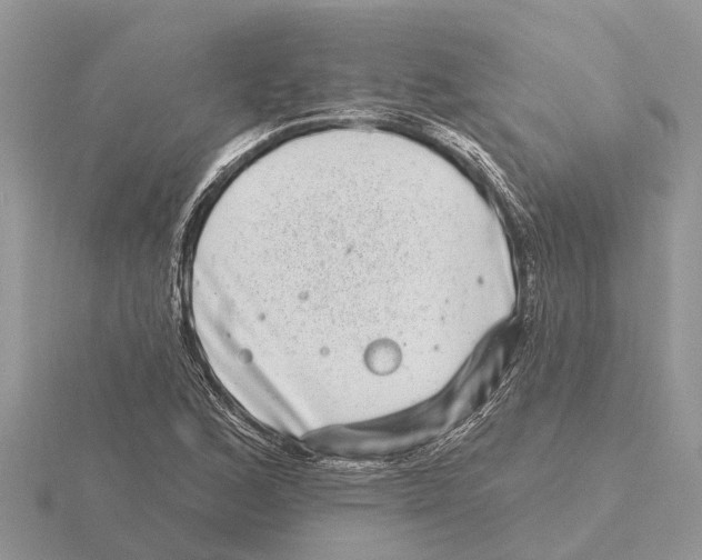 X0000115671168200912101106