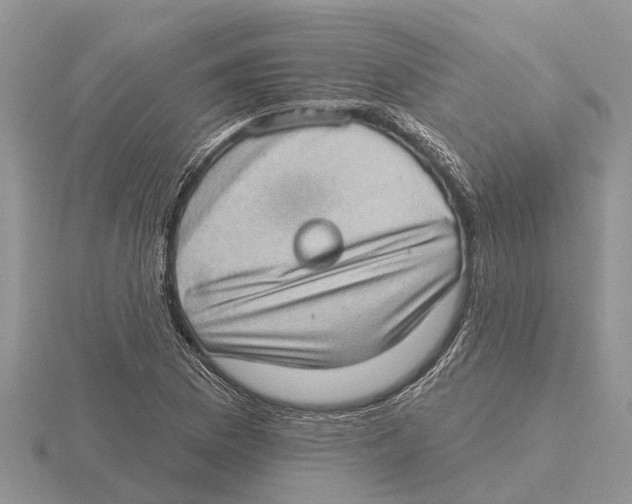 X0000115671169200912101106