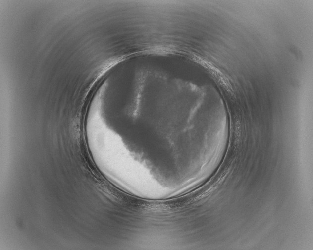 X0000115671170200912101106