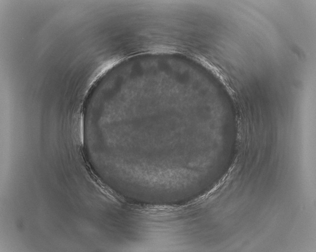 X0000115671171200912101106