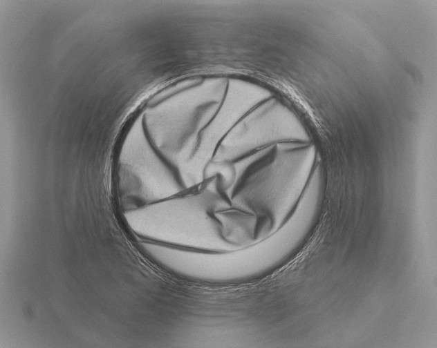 X0000115671173200912101106