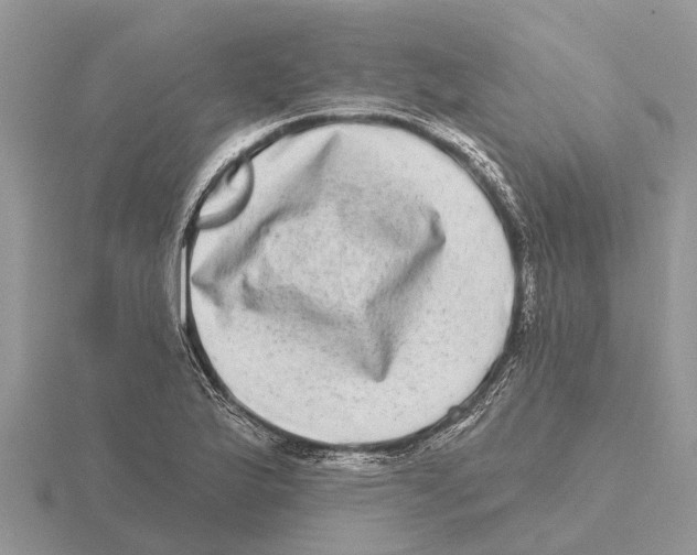 X0000115671175200912101106