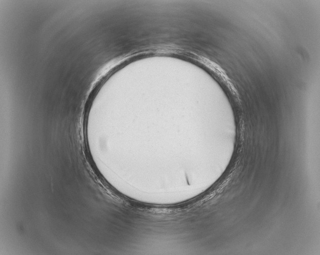 X0000115671176200912101106