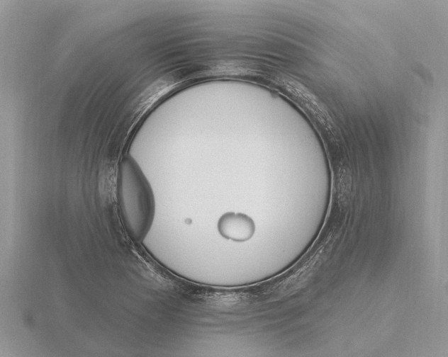 X0000115671177200912101106