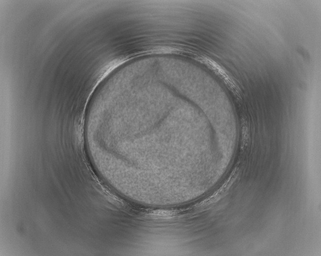 X0000115671178200912101106