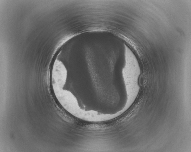 X0000115671179200912101106