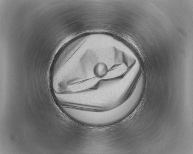 X0000115671181200912101106