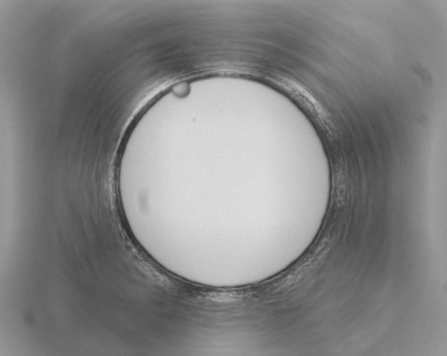 X0000115671182200912101106