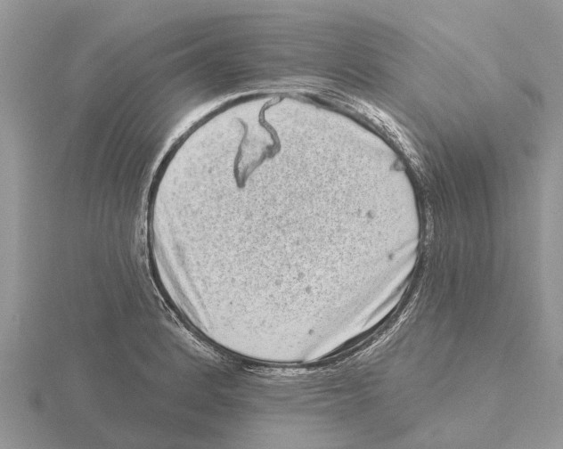 X0000115671184200912101106