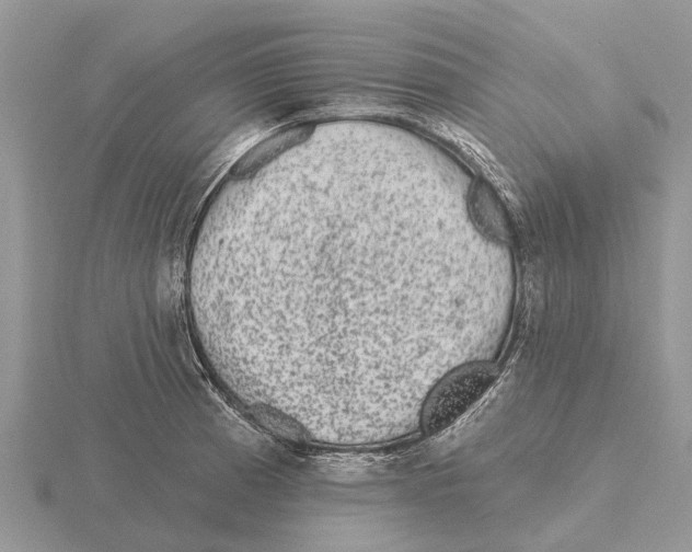 X0000115671185200912101106