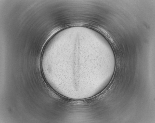 X0000115671186200912101105