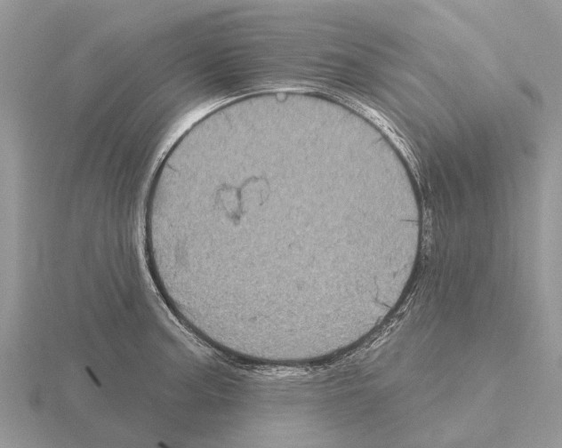 X0000115671187200912101105