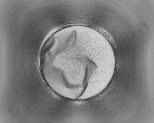 X0000115671188200912101105