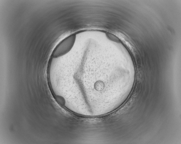 X0000115671189200912101105