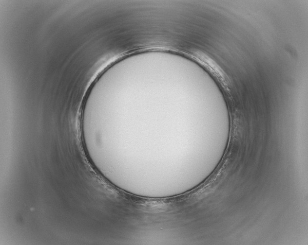 X0000115671190200912101105