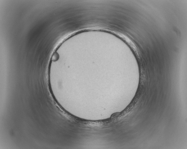 X0000115671191200912101105