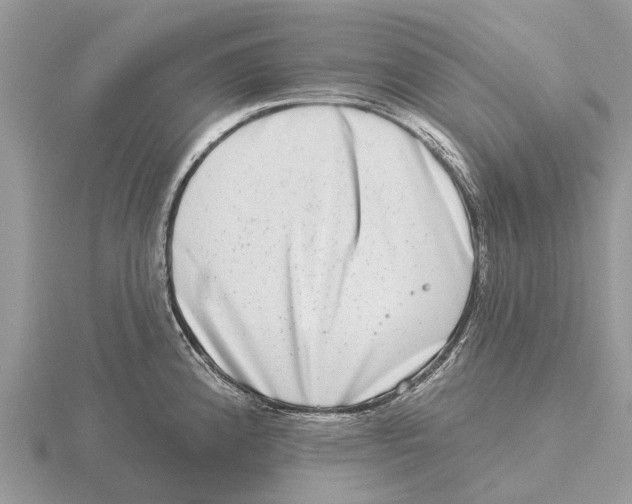 X0000115671192200912101105