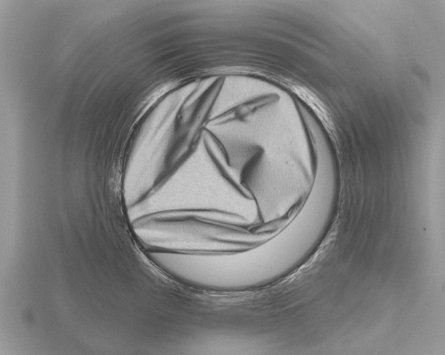 X0000115671193200912101105