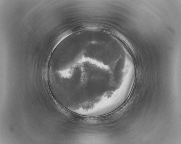 X0000115671194200912101105