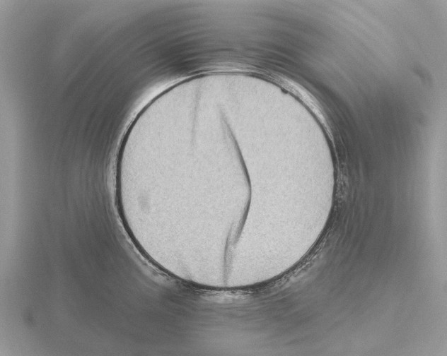 X0000115671195200912101105