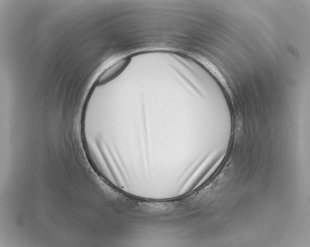 X0000115671197200912101105