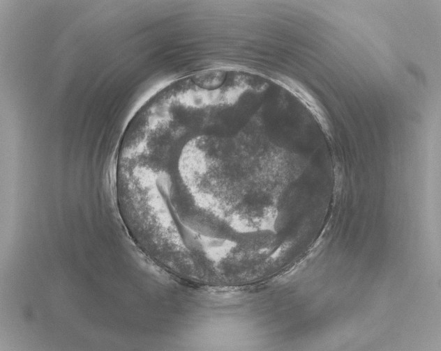 X0000115671198200912101105