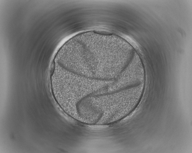 X0000115671200200912101105